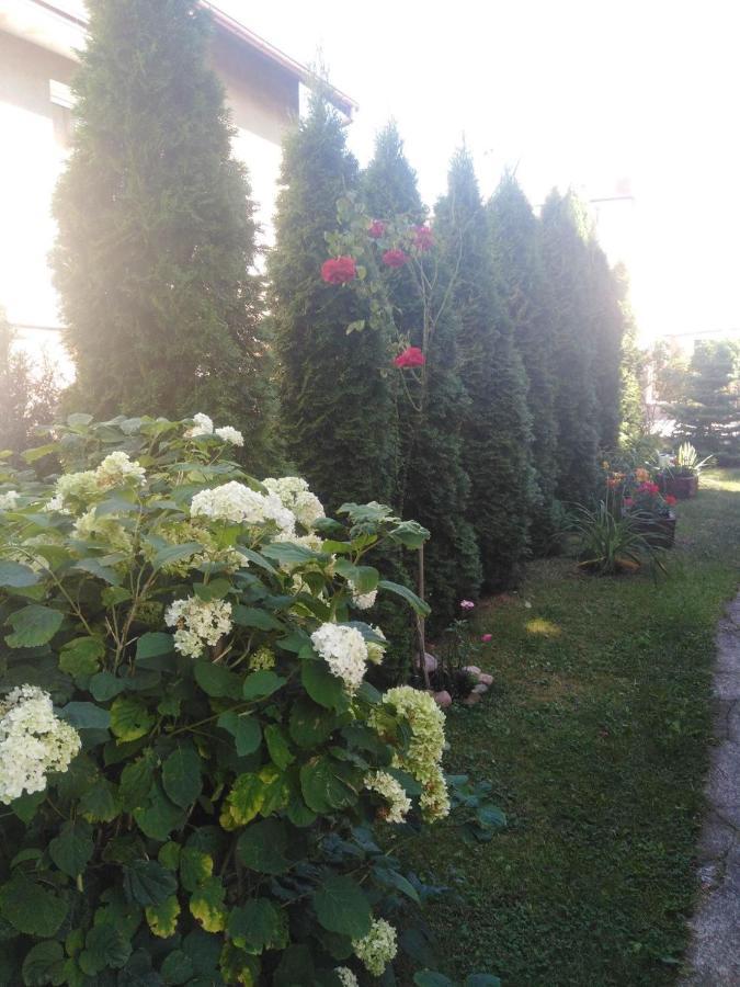 Hostel U Misiow Suwałki Buitenkant foto